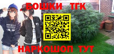 винт Дубна