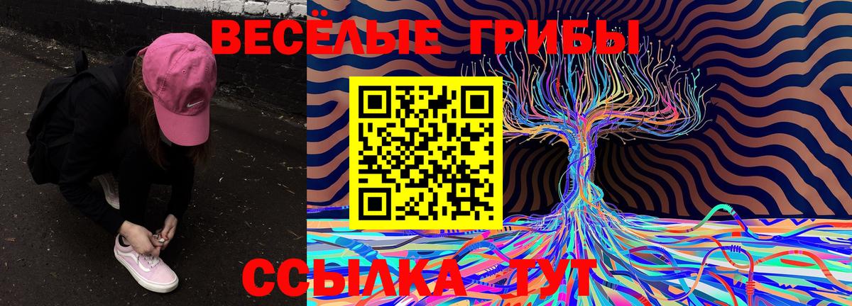 Лысьва  Псилоцибиновые грибы Cubensis  Вход с VPN 