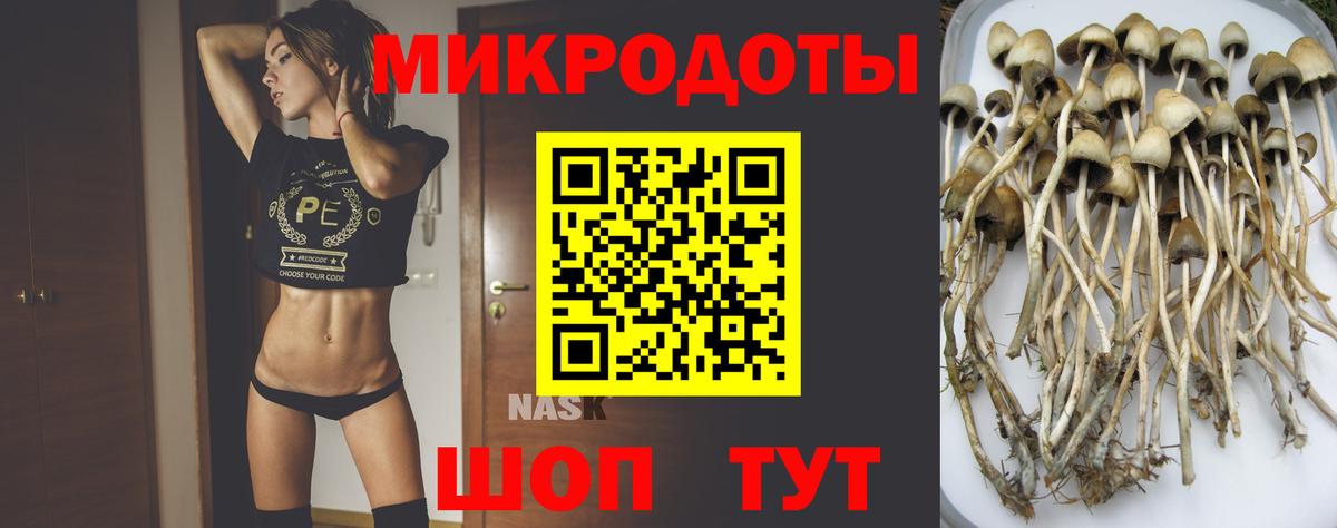 Галлюциногенные грибы мухоморы Лысьва